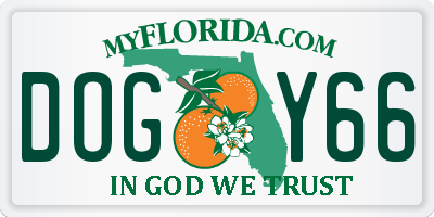 FL license plate DOGY66