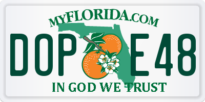FL license plate DOPE48