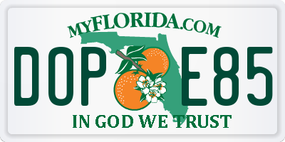 FL license plate DOPE85