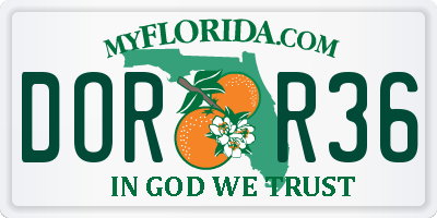 FL license plate DORR36