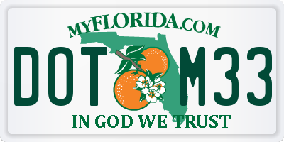 FL license plate DOTM33