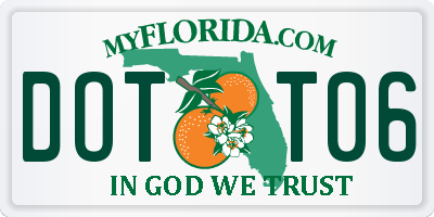FL license plate DOTT06