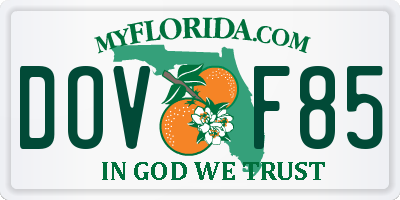 FL license plate DOVF85