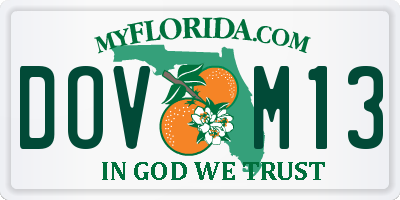 FL license plate DOVM13