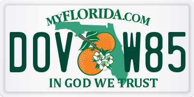 FL license plate DOVW85