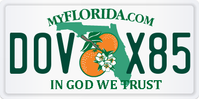 FL license plate DOVX85