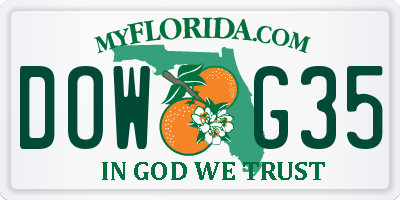 FL license plate DOWG35