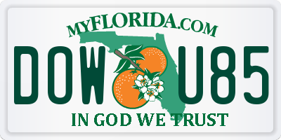 FL license plate DOWU85