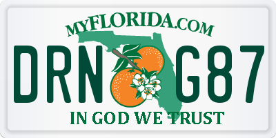 FL license plate DRNG87