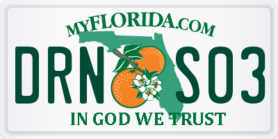 FL license plate DRNS03