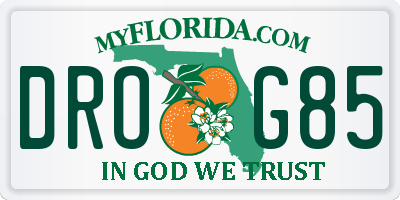 FL license plate DROG85