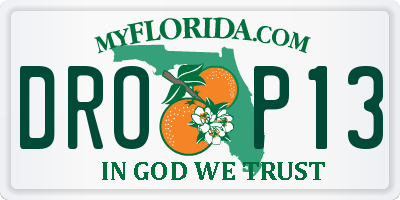 FL license plate DROP13