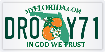 FL license plate DROY71
