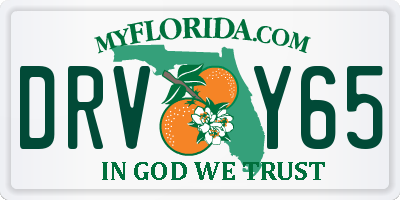 FL license plate DRVY65