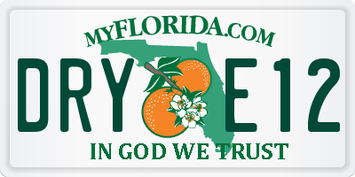 FL license plate DRYE12