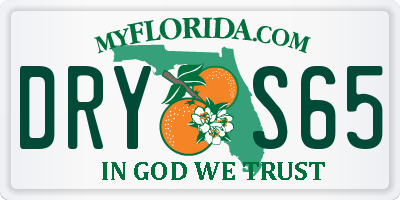 FL license plate DRYS65