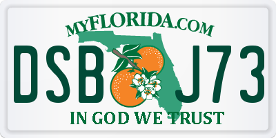 FL license plate DSBJ73