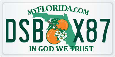 FL license plate DSBX87