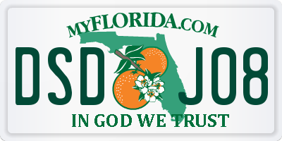 FL license plate DSDJ08