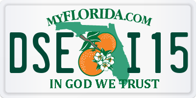 FL license plate DSEI15