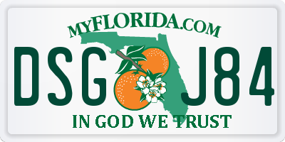 FL license plate DSGJ84