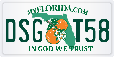 FL license plate DSGT58