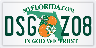 FL license plate DSGZ08