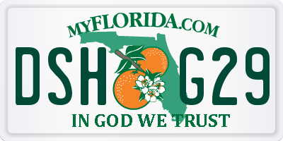 FL license plate DSHG29