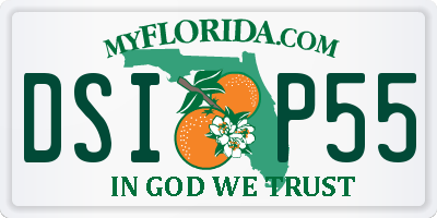 FL license plate DSIP55