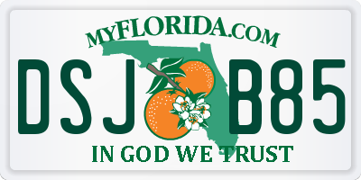 FL license plate DSJB85