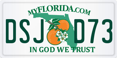 FL license plate DSJD73