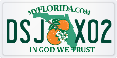FL license plate DSJX02