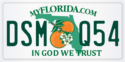 FL license plate DSMQ54