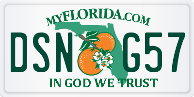 FL license plate DSNG57