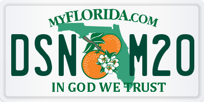 FL license plate DSNM20