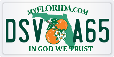 FL license plate DSVA65