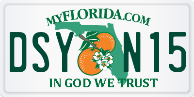 FL license plate DSYN15
