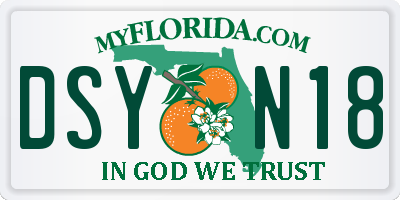 FL license plate DSYN18