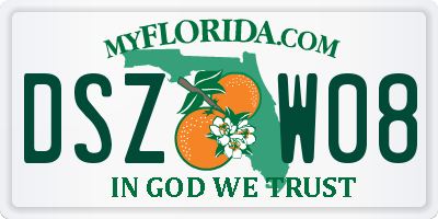 FL license plate DSZW08