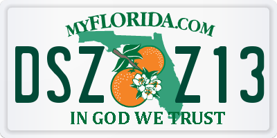 FL license plate DSZZ13