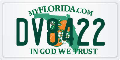 FL license plate DV8422