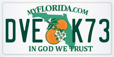 FL license plate DVEK73