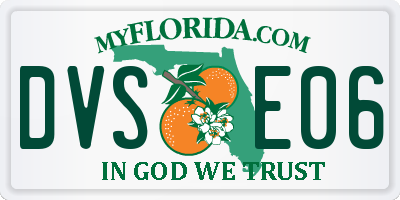 FL license plate DVSE06