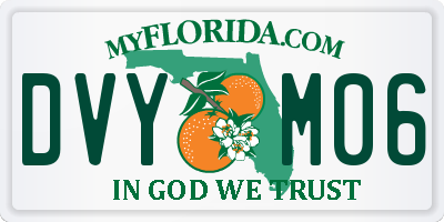 FL license plate DVYM06