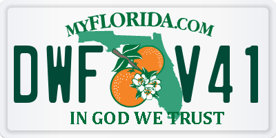 FL license plate DWFV41
