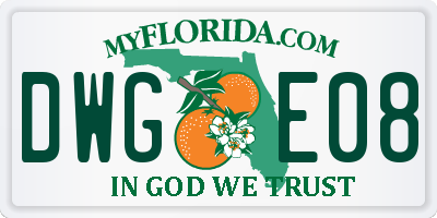 FL license plate DWGE08