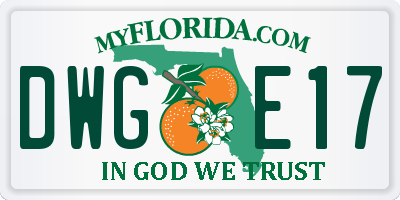 FL license plate DWGE17