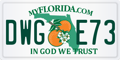 FL license plate DWGE73