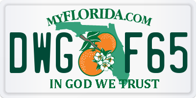 FL license plate DWGF65