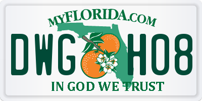 FL license plate DWGH08